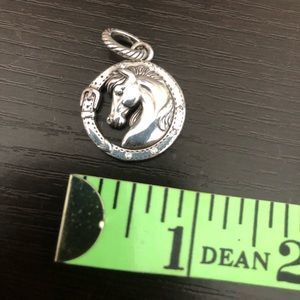 Brighton Horse Charm